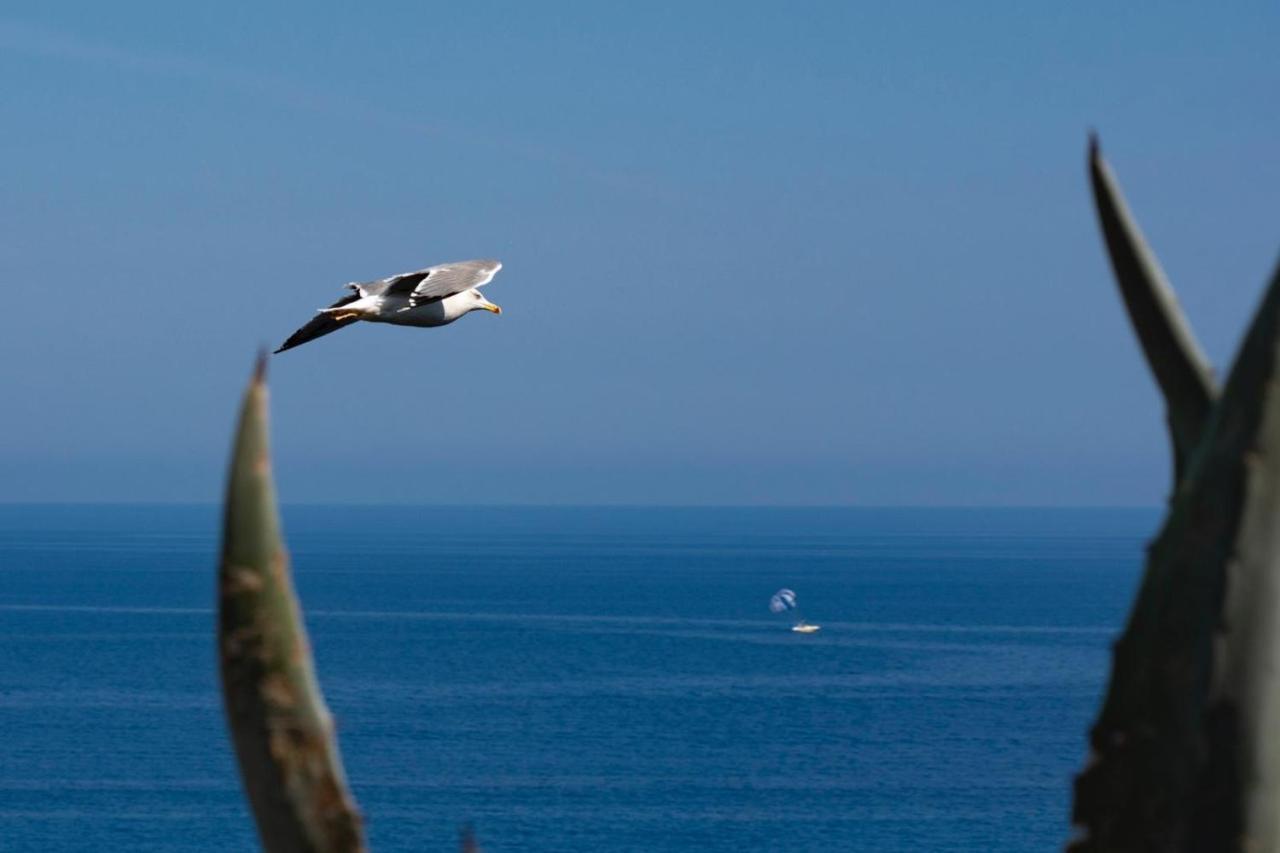 Il Poggio Di Tropea Hotel Parghelia Eksteriør billede